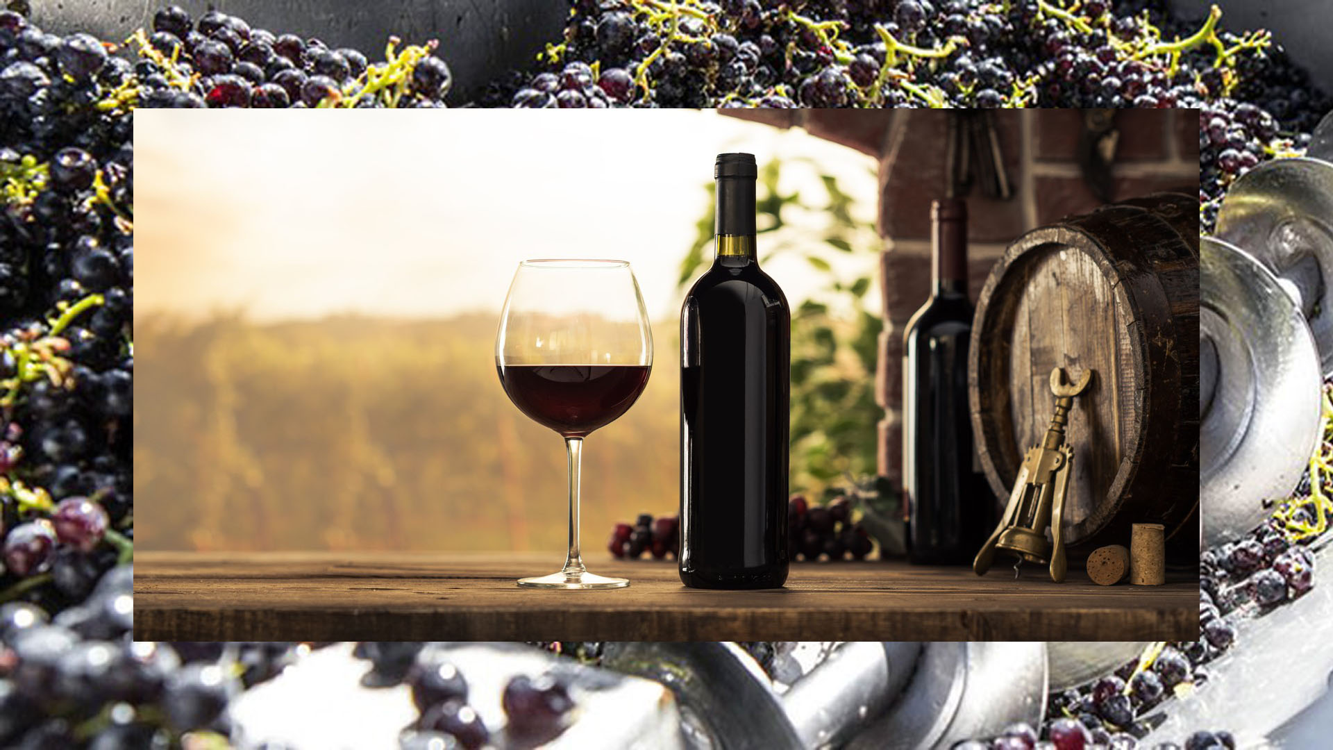 Cloudtrace - Ιχνηλασιμότητα Οινοποιείων